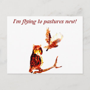 Cartão Postal Tawny Owl Art Moving Home