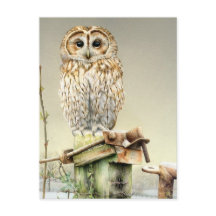 Tawny Owl no Cartaz das Coisas de Neve
