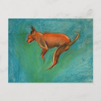 Cartão Postal Tazzmaster