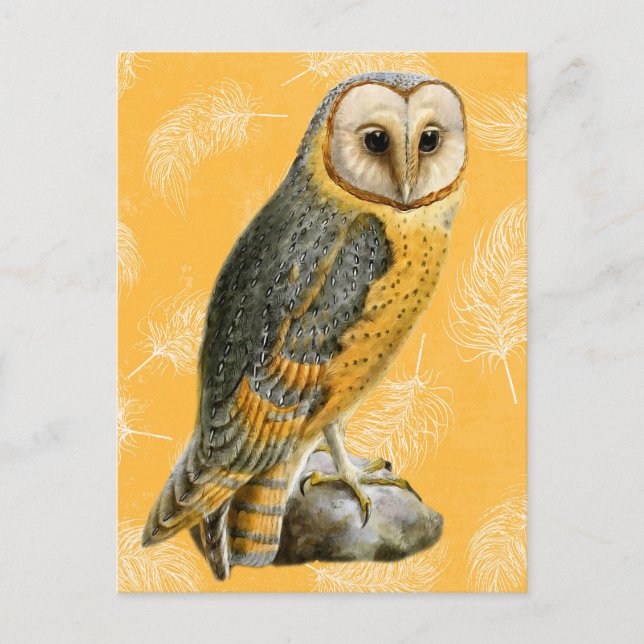 Cartão Postal TCWC - Barn Owl Vintage (Frente)