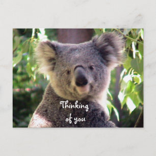 Cartão Postal Te Amo.