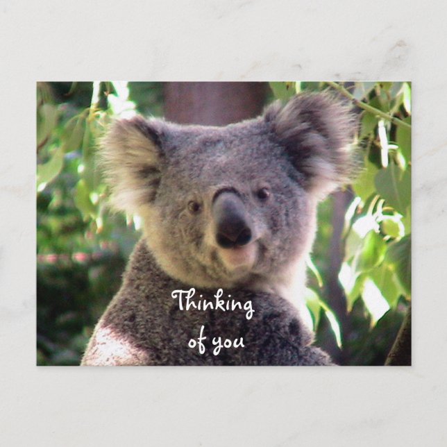 Cartão Postal Te Amo. (Frente)