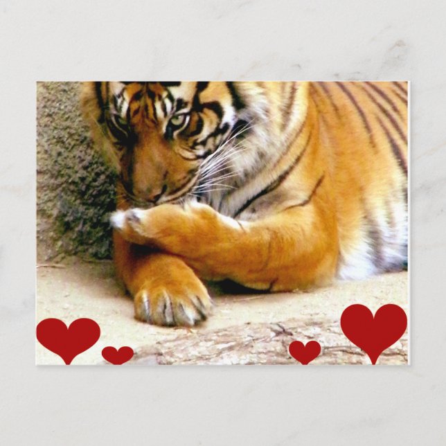 Cartão Postal Te Amo. (Frente)