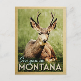 Cartão Postal Te Vejo Em Montana - Stag Deer Willife