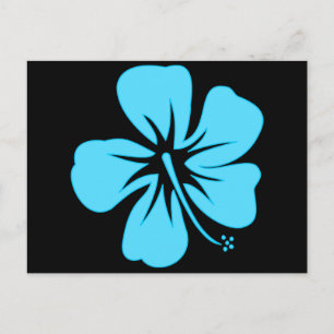 Cartão Postal Teal Hibiscus
