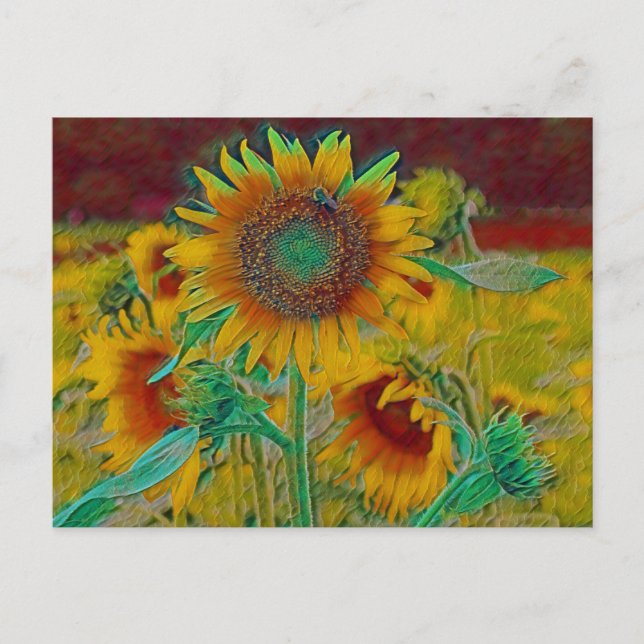 Cartão Postal Teal Sunflower (Frente)