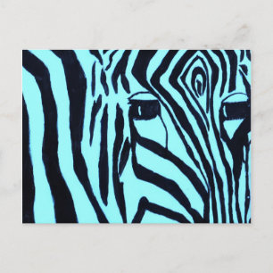 Cartão Postal Teal Zebre Postcard