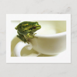 Cartão Postal teatime real