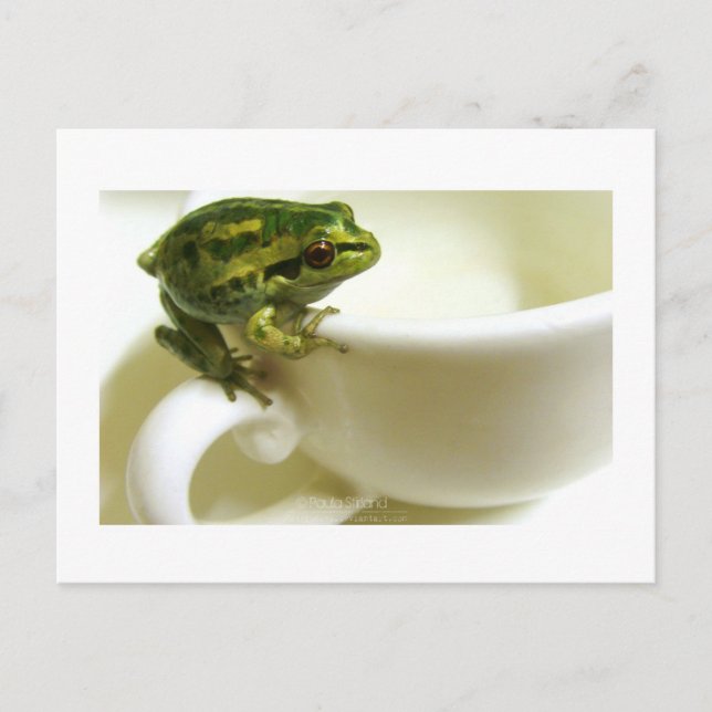 Cartão Postal teatime real (Frente)