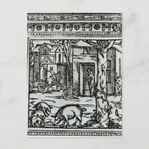 Cartão Postal Teatro de Agricultura e Arqueação dos Campos