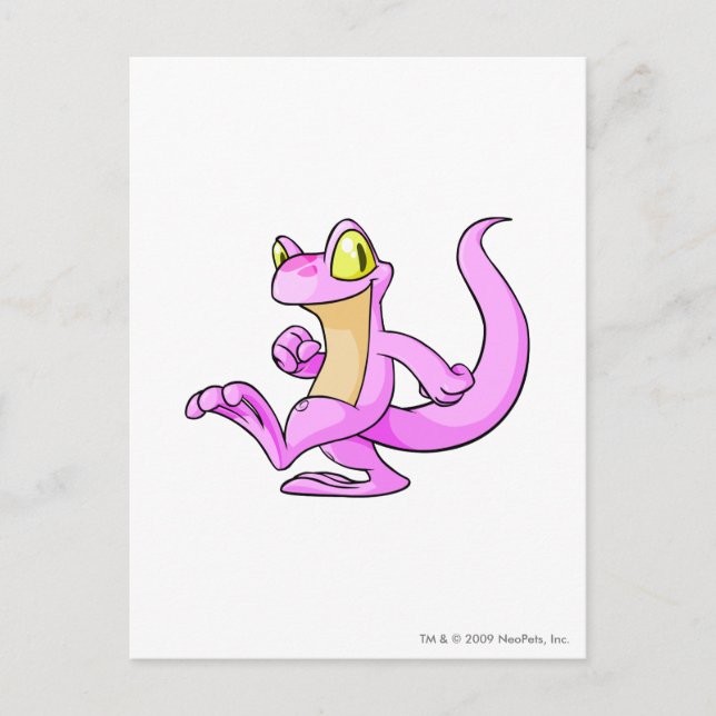 Cartão Postal Techo Pink (Frente)