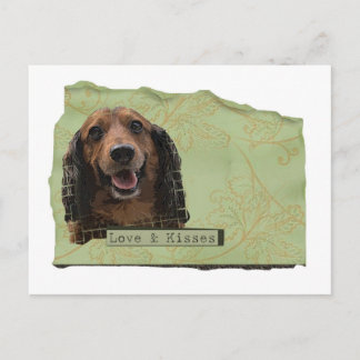 Cartão Postal Teckle / Dachshund em verde