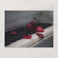 Teclas de Piano com uma Rosa Vermelha
