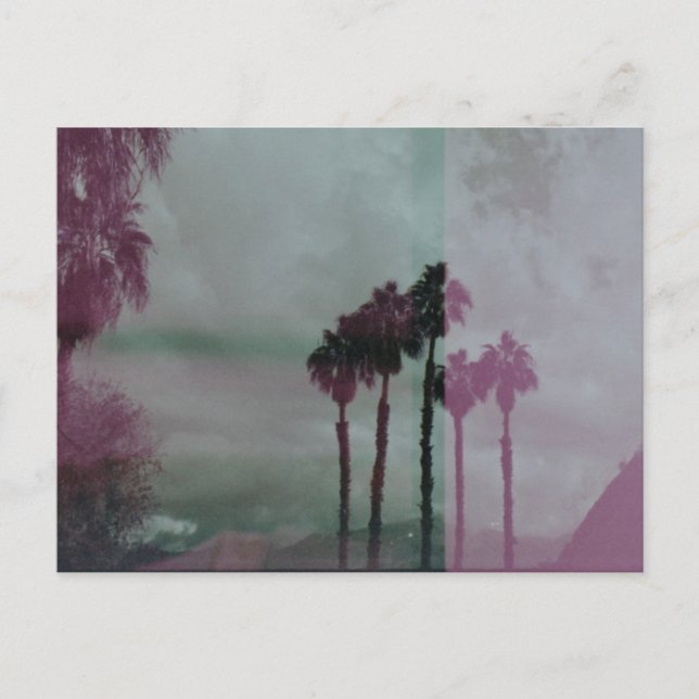 Cartão Postal Técnicas Sonhando Árvores de Palma (Frente)
