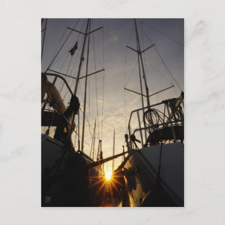 Cartão Postal Tegenlicht bij 2 zeilboten in de haven.