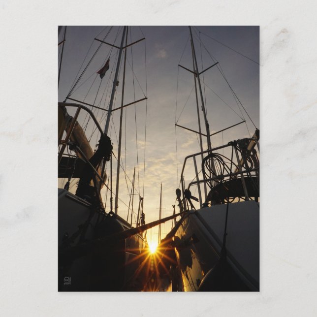 Cartão Postal Tegenlicht bij 2 zeilboten in de haven. (Frente)
