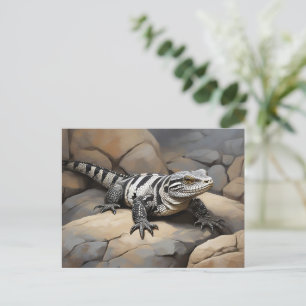 Cartão Postal Tegu Negro E Branco Da Argentina