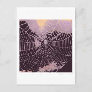 Cartão Postal Teia de Aranha Abstrata