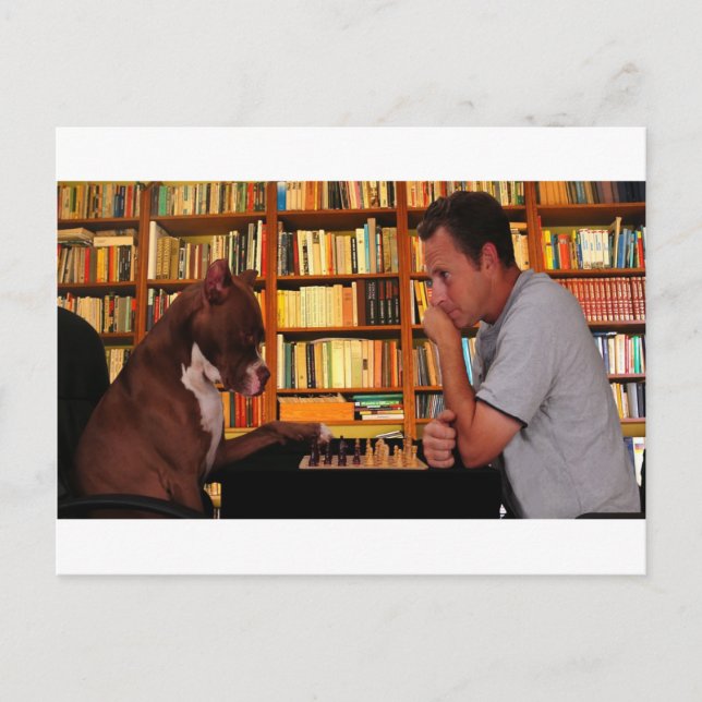 Cartão Postal Tem certeza sobre esse movimento? (Frente)