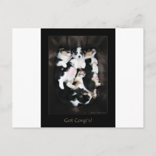 Cartão Postal Tem Corgi?