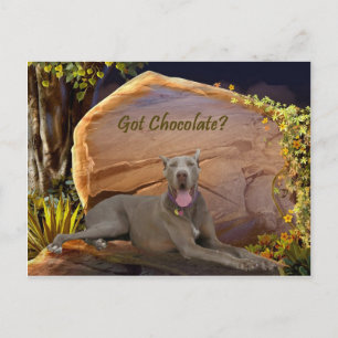 Cartão Postal Tem Dane de Chocolate?