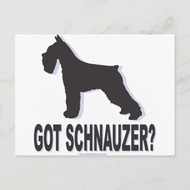 Cartão Postal Tem Schnauzer? (Frente)