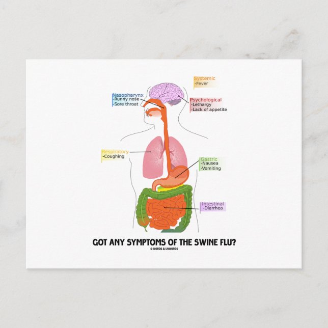 Cartão Postal Tem Sintomas Da Gripe Suína? Anatomia (Frente)