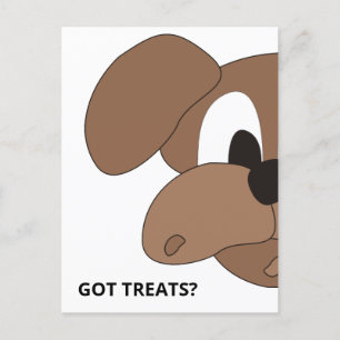 Cartão Postal Tem Tratamentos? Cão curioso