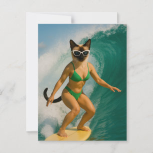 Cartão Postal Tema de surf para amantes de gatos siameses