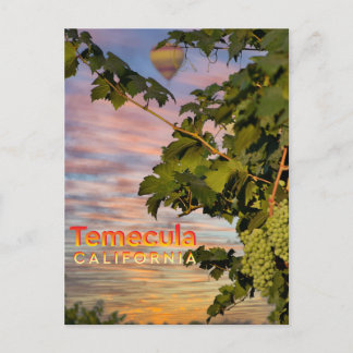 Cartão Postal Temecula Wine Country Postcard Grapevine