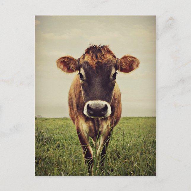 Cartão Postal Tempestade (Frente)