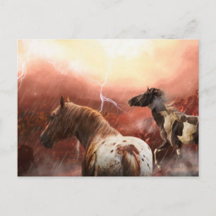 Cartão Postal Tempestade de Cavalos Selvagens no Deserto