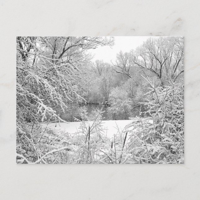 Cartão Postal Tempestade de neve (Frente)
