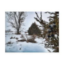 Tempestade de neve de inverno em Dakota do Norte
