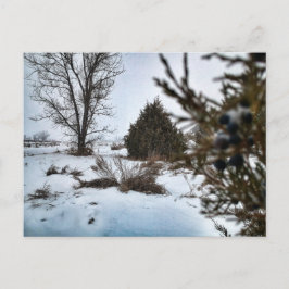 Cartão Postal Tempestade de neve de inverno em Dakota do Norte