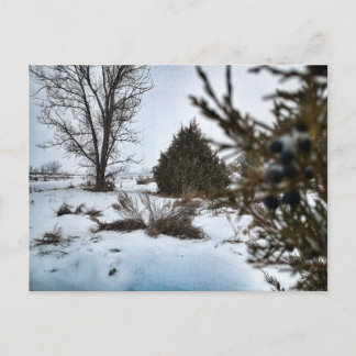 Cartão Postal Tempestade de neve de inverno em Dakota do Norte