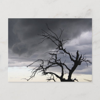 Cartão Postal Tempestade Guadalupe