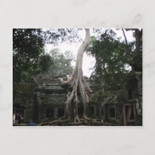 Cartão Postal Templo Cambojano na Selva
