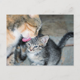 Cartão Postal Tempo de banho