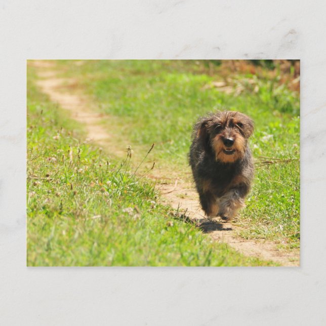 Cartão Postal Tempo de diversão (Frente)