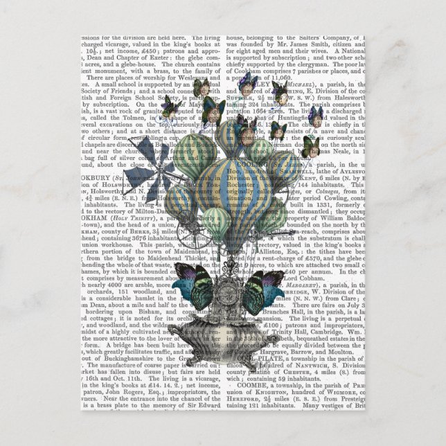 Cartão Postal Tempo de Flutuação (Frente)