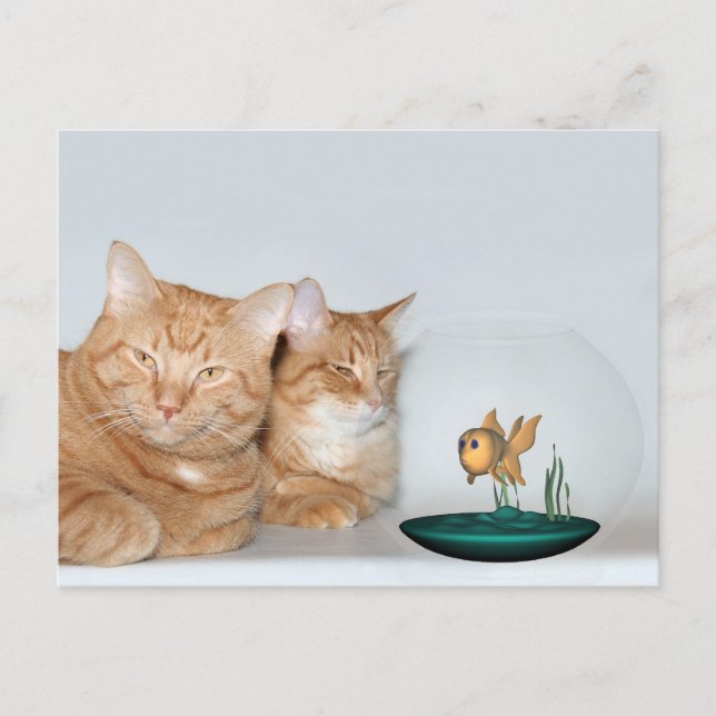 Cartão Postal Tempo de qualidade de compartilhamento (Frente)