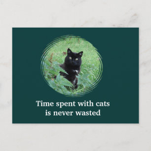 Cartão Postal Tempo Passado Com Gatos Nunca é Perd