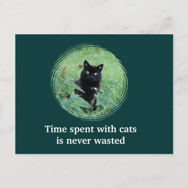 Cartão Postal Tempo Passado Com Gatos Nunca é Perd (Frente)