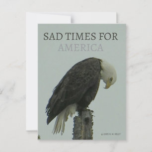 Cartão Postal TEMPOS TRISTES PARA A AMÉRICA - Por - K. M. Kelly