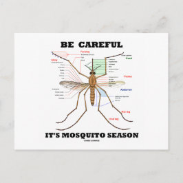 Cartão Postal Tenha cuidado é a estação do mosquito (Anatomia do