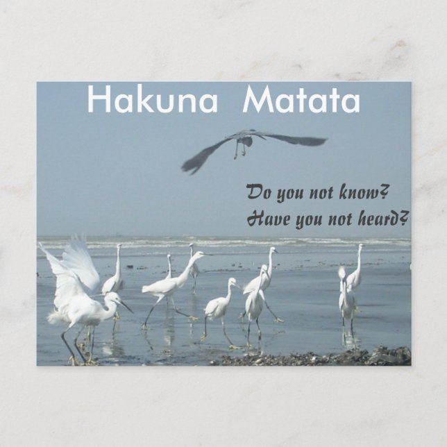 Cartão Postal Tenha um belo dia para personalizar o produto (Frente)