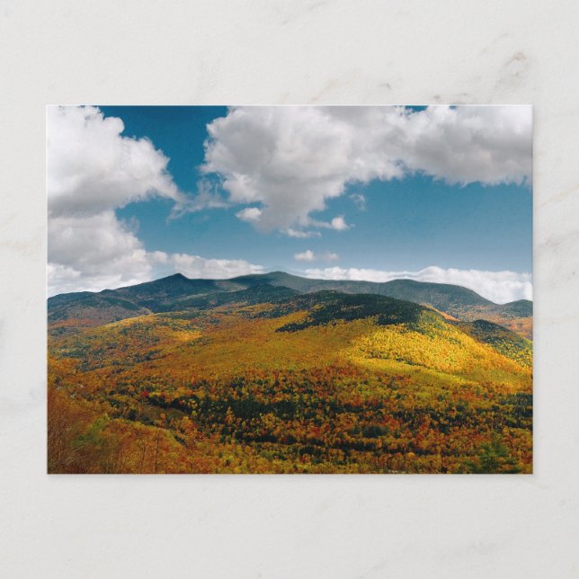 Cartão Postal Tenha um bom dia (Frente)