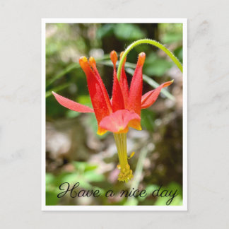Cartão Postal Tenha um bom dia