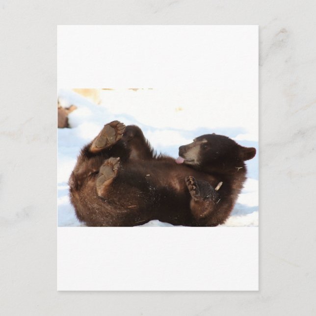 Cartão Postal Tenham um Dia Bom da BEIA!! (Frente)